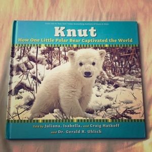 Knut